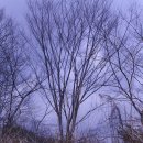 마지농원 이미지