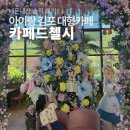 형제종합카 | 김포 카페드첼시 내돈내산｜아이랑 가기 좋은 대형카페 솔직 후기