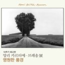 영원디자인 이미지