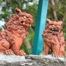 특별한 동물가게 네이버블로그