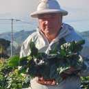 산촌농장(2) 이미지