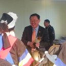 완도 장좌리 당제 및 당굿 이미지