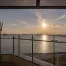 브라운도트거북섬점 이미지