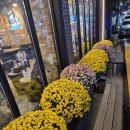 이마트24 대구감삼점 | 여기는 무조건 재방문각! 경산청정숯불아나고꼼장어 감삼점 솔직 후기