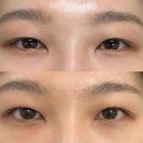 원더속눈썹 | 천호역 속눈썹펌 추천｜원더브로우 베이직펌 후기