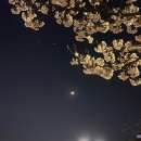 아바나(ABANA)