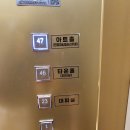 화수목 관광농원 | [천안] 타운홀전망대 원조할머니 학화호도과자 내돈내산 솔직후기