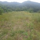 재호농장2 이미지