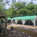 메아리산장 이미지