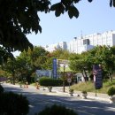 영대병원 이미지