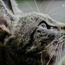 연두동물병원 이미지