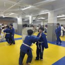 용인대 중앙 유도관 이미지