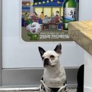 월용상회 이미지