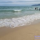 진로탐색&심리코칭 이미지