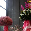 컨펙션(Confections) | [포포일상]포시즌스호텔 봄 분위기 물씬, 카페 컨펙션 (confections).