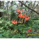 물레식당 이미지