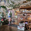 꿈아루도서관 | [EP22] 크리스마스 데이트로 갈만한 곳 Best 5(제이웨딩 추천인: 아루누나)