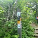 산행중 위급상황 발생시 대처하는 2 가지방법 이미지
