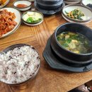 황토우렁이 이미지