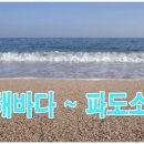 동해파도소리 이미지