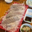 취화선 | [강릉 맛집] 치킨+회 끝판왕 ‘취화선’ 솔직후기 (영업시간/예약팁/주차정보)