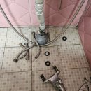 설명을잘하는솔치과의원 이미지