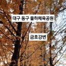 동구구립안심도서관 네이버블로그