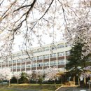 장성고등학교 이미지