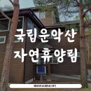 (내돈내산) 운악산 자연휴양림 연립동 노루귀 1박2일 후기 / 7인실