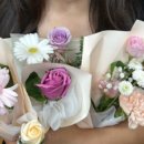 (주)동인약품 | [일상/생각] 약대생의 일주일 10월 첫째주 (클래식 동아리 POC 정기공연, 국제약대생연합단체 IPSF APRO...