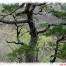 백운산가든 이미지