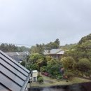 선흘별숲 이미지