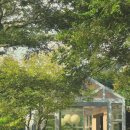 표선도서관 주차장 | [제주살이] 표선 가시림, 제주도 동쪽 산책하기 딱 좋은 곳