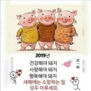 데이가구