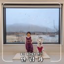 안림가 | 강원도 홍천 애견동반 펜션 안림가 감성 스테이