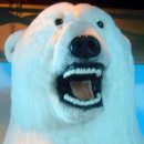 위드아이안경 | 임신 24주 임산부 백신2차 증상과 후기, 백신 부작용