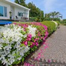 오앤비팜스테이 이미지