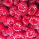 신구농장 이미지