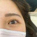 모구브로우