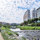 경안천 전대리 이미지