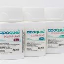 신제주동물약국 이미지