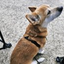 기사문항 화장실 이미지