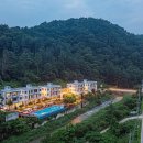 디파우제 이미지