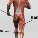 이천쌤 바디클리닉 이미지