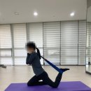 몸튼튼 근력 스트레칭 | 발란스코드 코미 스트레칭밴드 다리찢기 밴드 집에서 도수치료