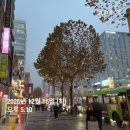 으뜸50안경논현역점 | 내돈내산) 4년단골 강추 ‘으뜸50안경 논현역점’ 사장님 친절보스