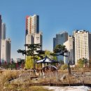 호수공원 이미지