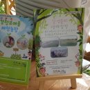 강정보여울 협동조합 이미지