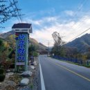 나무향기펜션 이미지