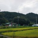 마을회관 정자옆 이미지